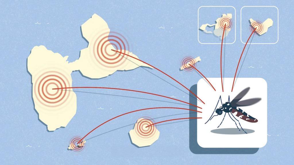 Epidémie de dengue en Guadeloupe. Spot TV ARS.
